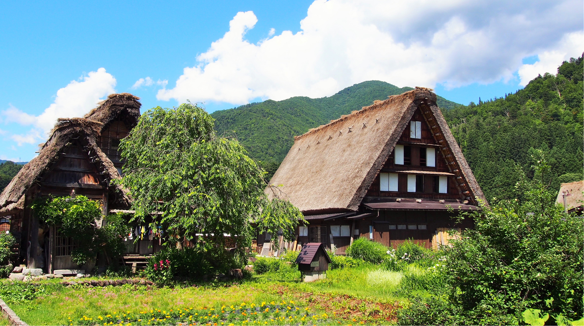 生きている文化遺産を学ぶ<br>『白川郷』2泊3日