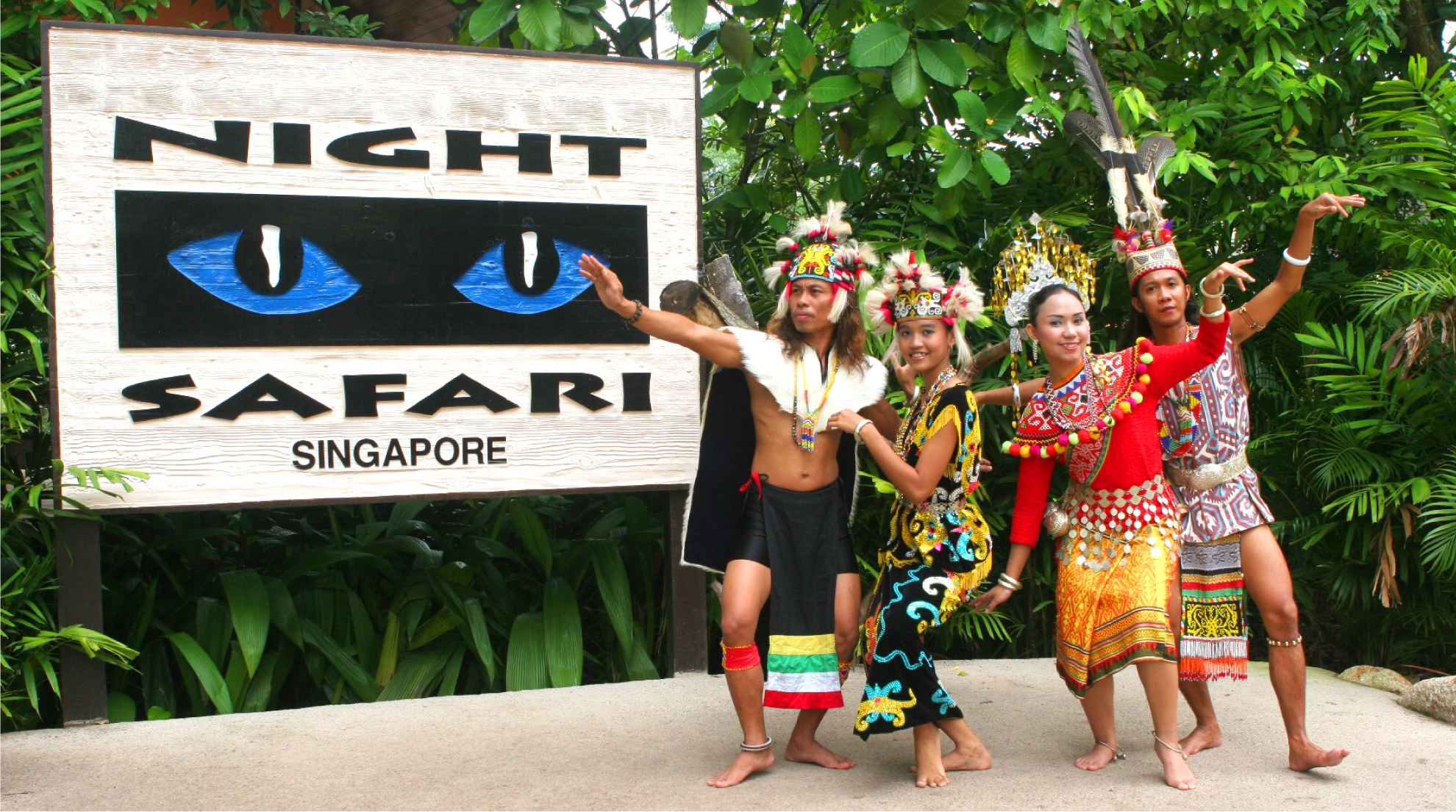 世界初！夜OPENの動物園？！<br>ナイトサファリ