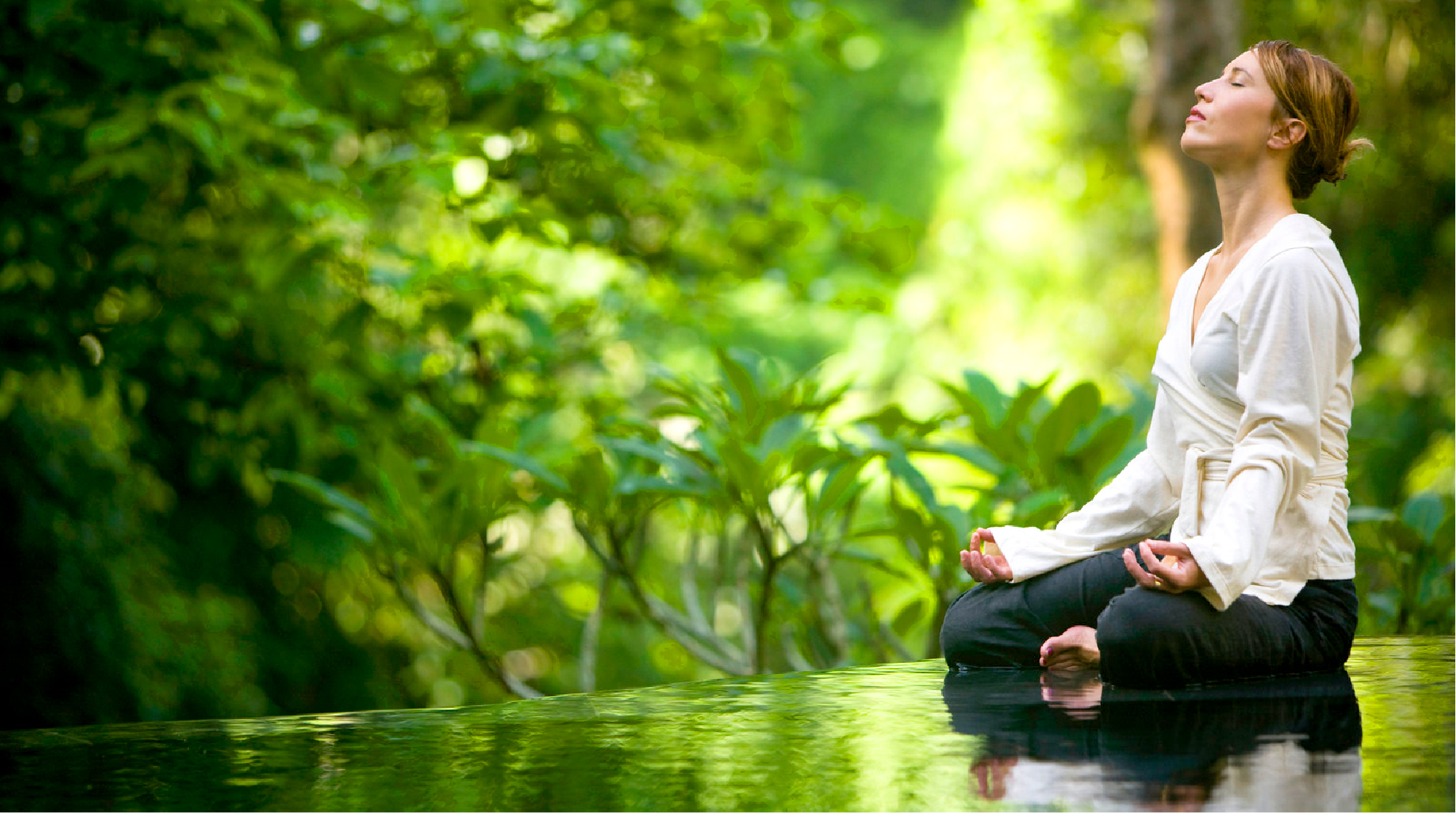 身も心も解き放つ<br>アーユルヴェーダ体験