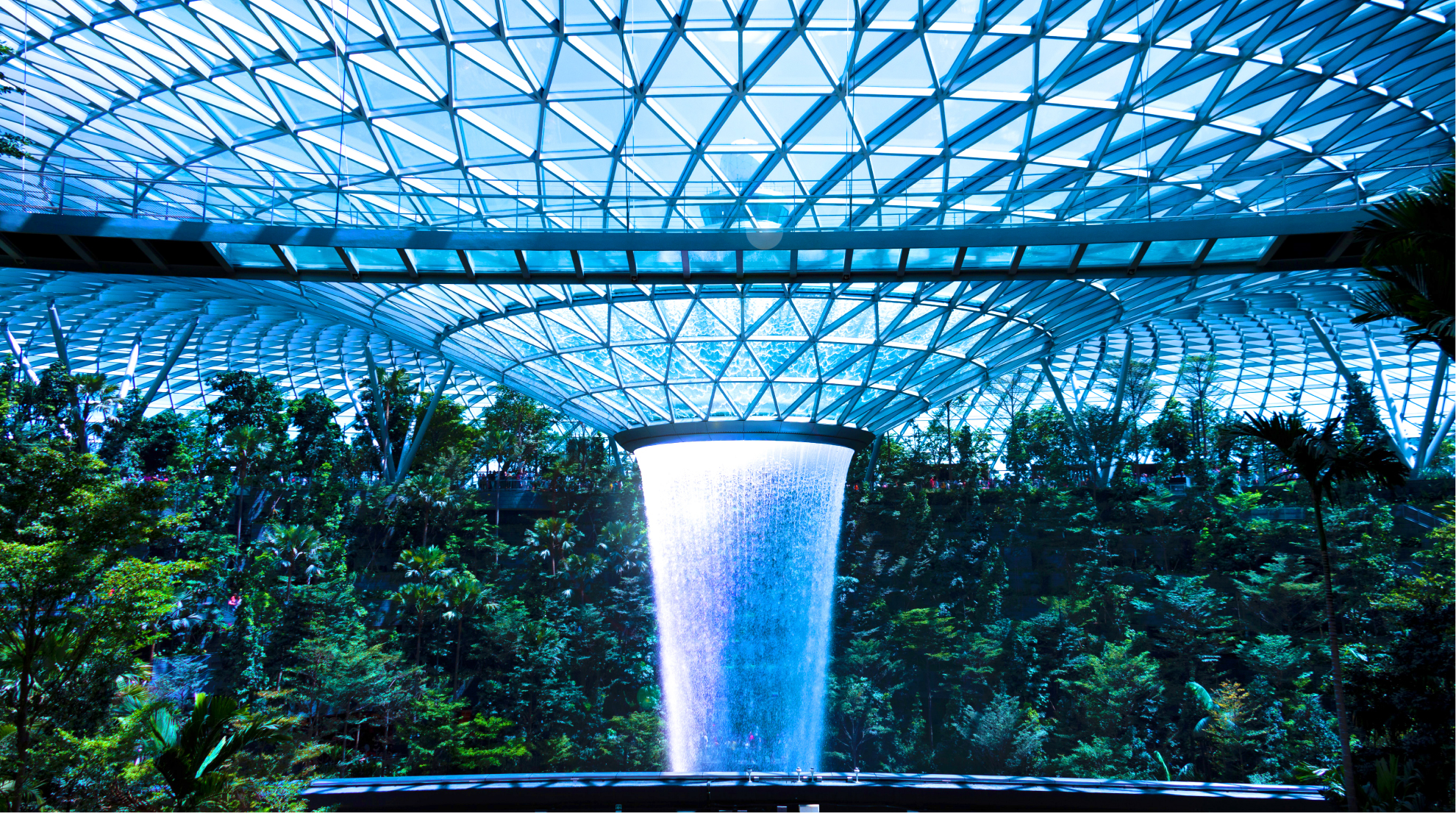 時間を忘れちゃうくらい感動?!<br>レインボルテックス